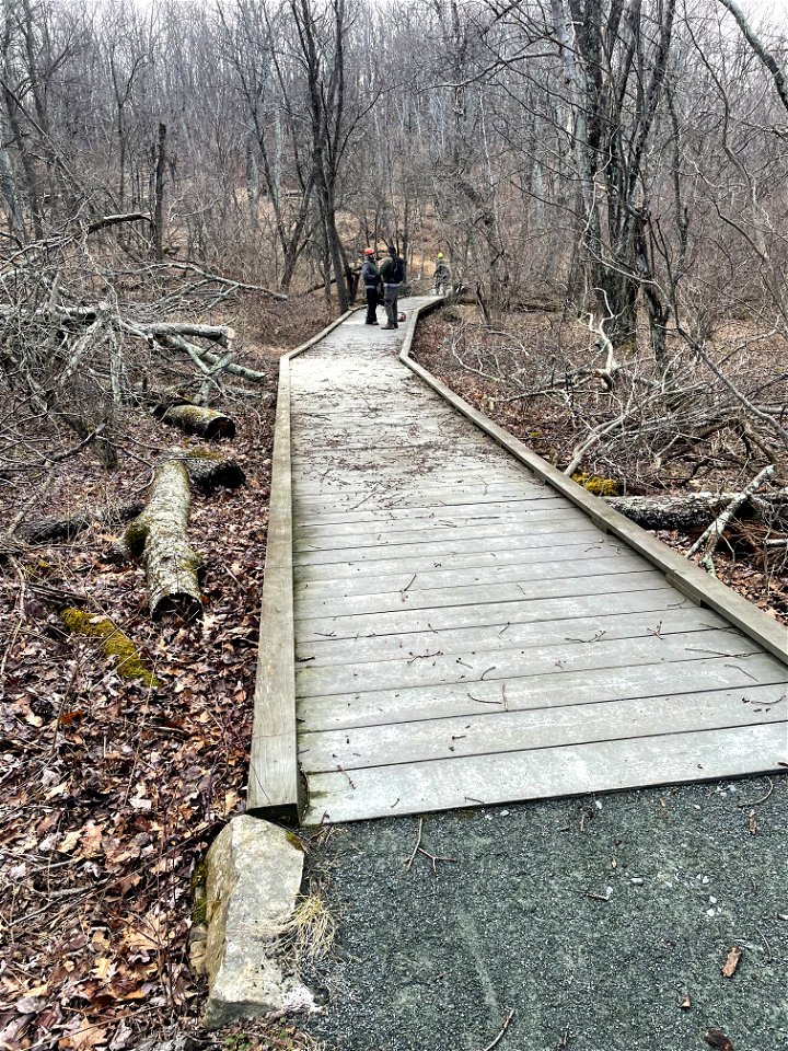 Limberlost After (2)