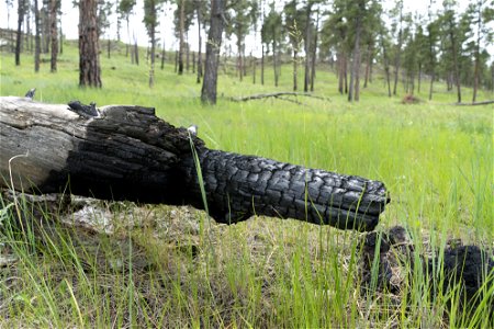 57.jpg