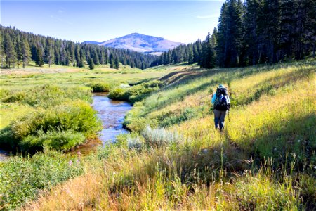 Hiking the Fawn Pass Trail along Fawn Creek (2) photo