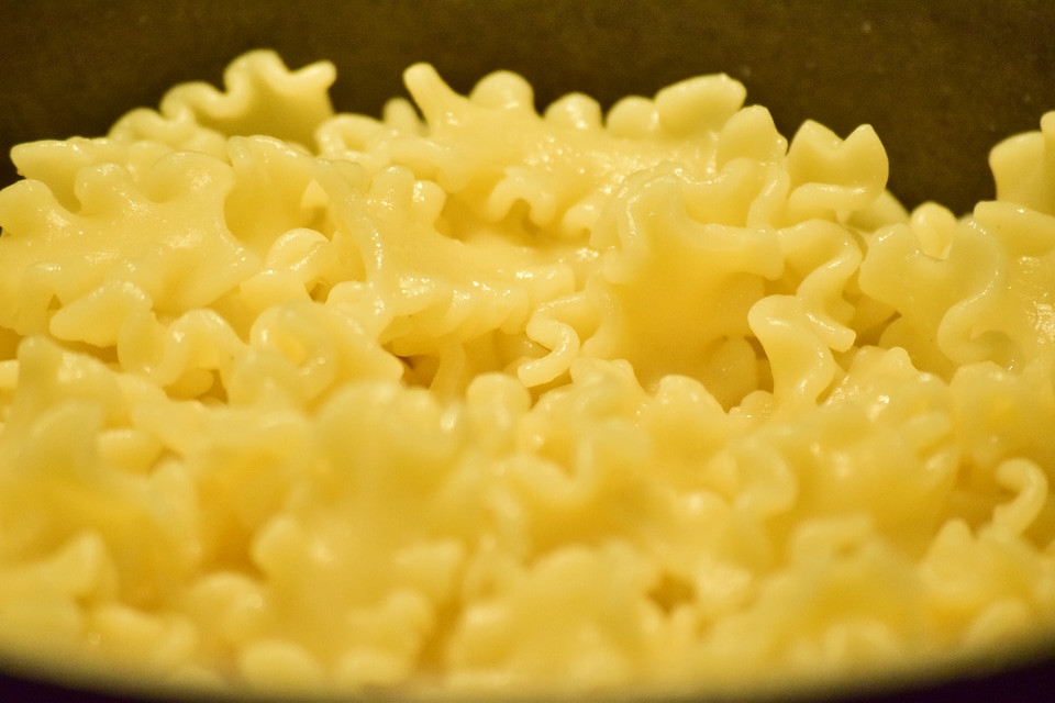pasta