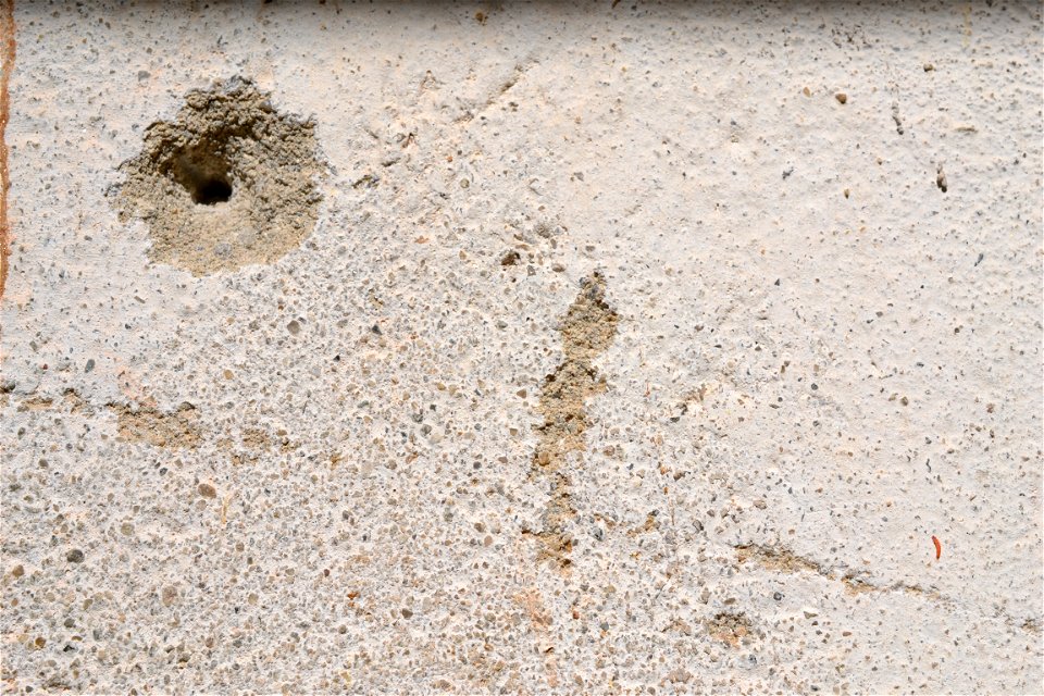 Free texture