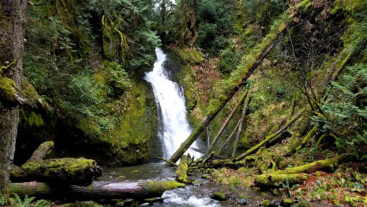 Hemlock Lake Falls