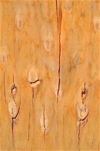Texture