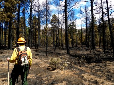 Burned Area Emergency Response media briefing