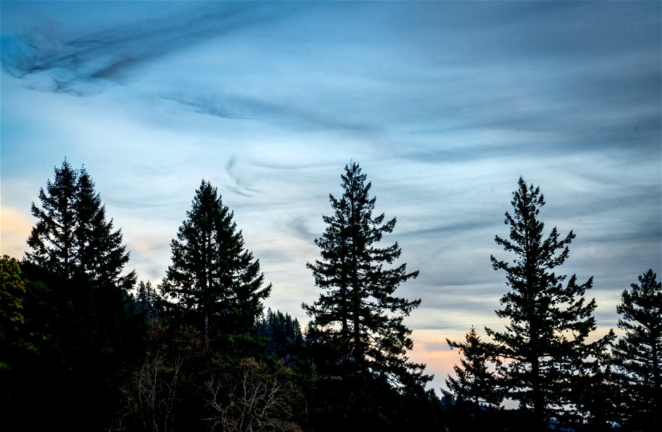 Lacks Creek Management Area