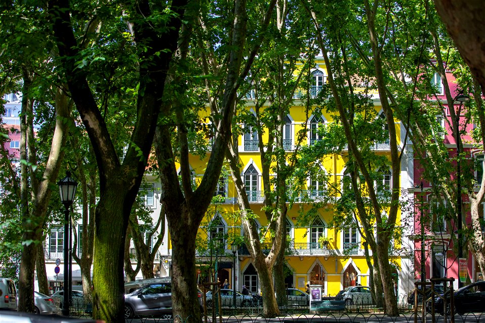 Lisbon Street
