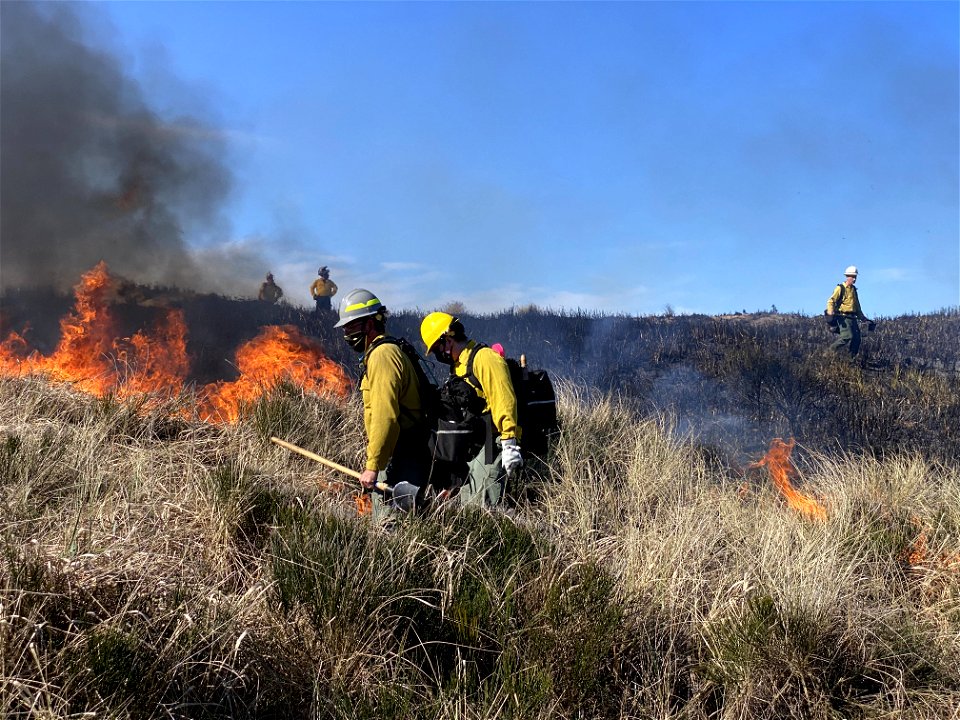 Siuslaw Oregon Dunes Prescribed Burn 2022