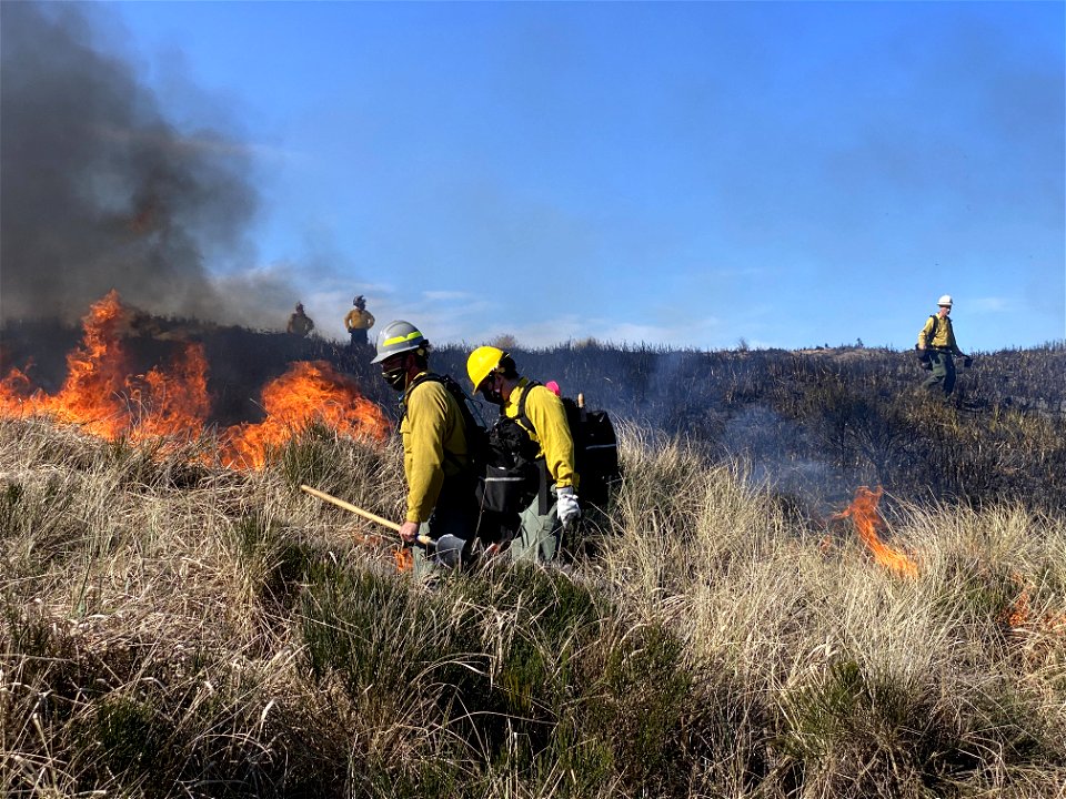 Siuslaw Oregon Dunes Prescribed Burn 2022 photo