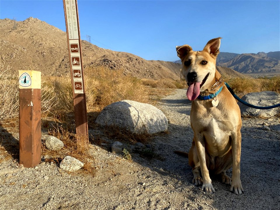 Ready to explore the PCT