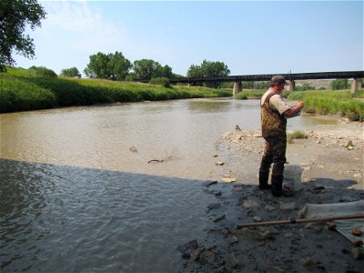 Fish Sampling in the Little Missouri River photo