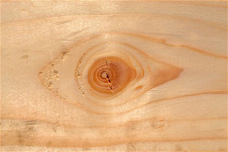 Wood photo