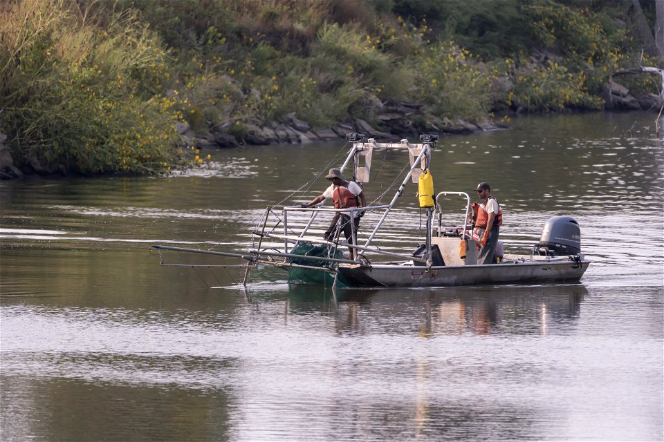 Invasive Carp Research on the James River in South Dakota. Photo: Sam Stukel (USFWS)