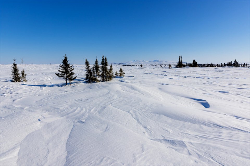 Textures of snow at Selawik National Wildlife Refuge