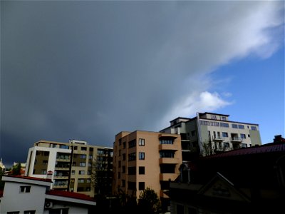 nori-sediuNCramfil2015_0422_080844