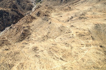 Aerial view of Joshua Tree National Park Fortynine Palms Oasis