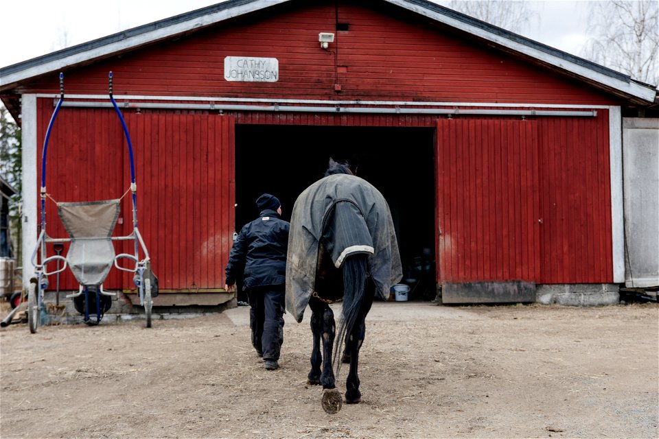 Cathy Johansson, Forssa