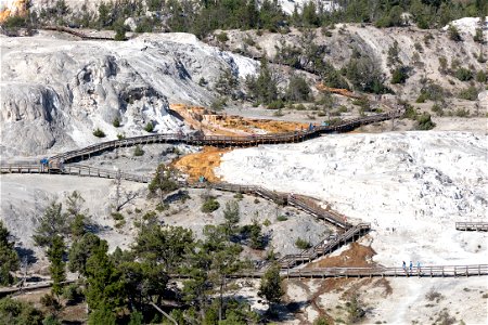 Mammoth Hot Springs Terraces and boardwalks photo