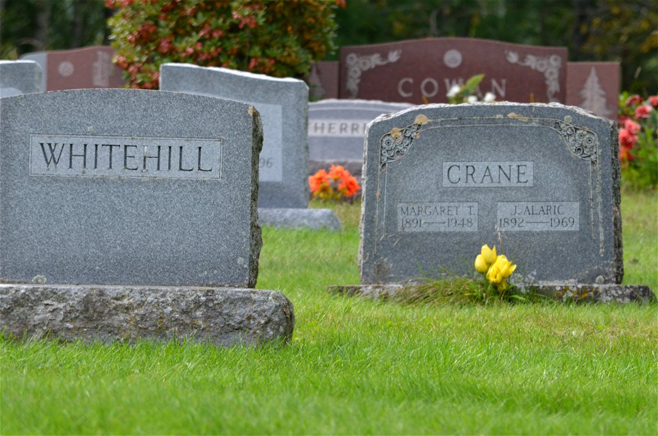 McIndoe Falls Cemetery