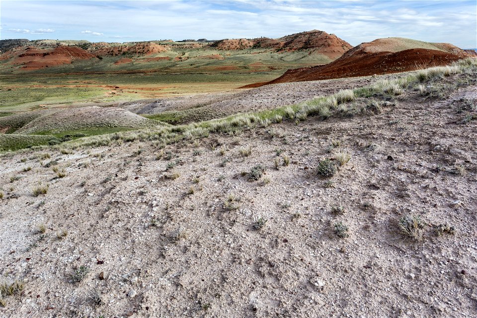 Southern foothills of the Bighorn Mountains