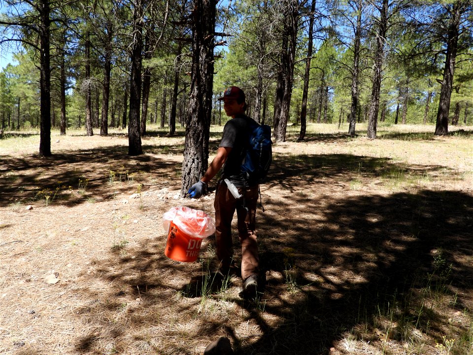 Pickin' Up in the Pines May 2022