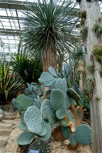 Hantaek Botanical Garden