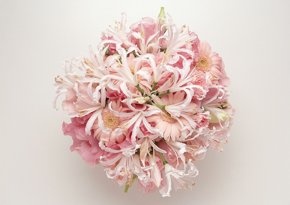 A bouquet of daisy gerberas