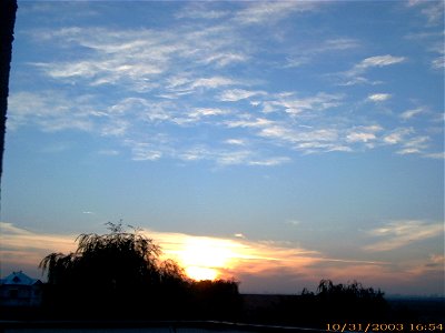 apus-caleavitan2003_1103_091040_17146115450_o