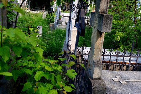 cimitir Sfanta Vineri (41)