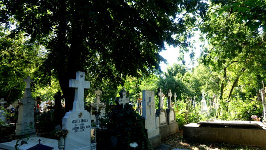 cimitir_SfVineri2021_0808_090316