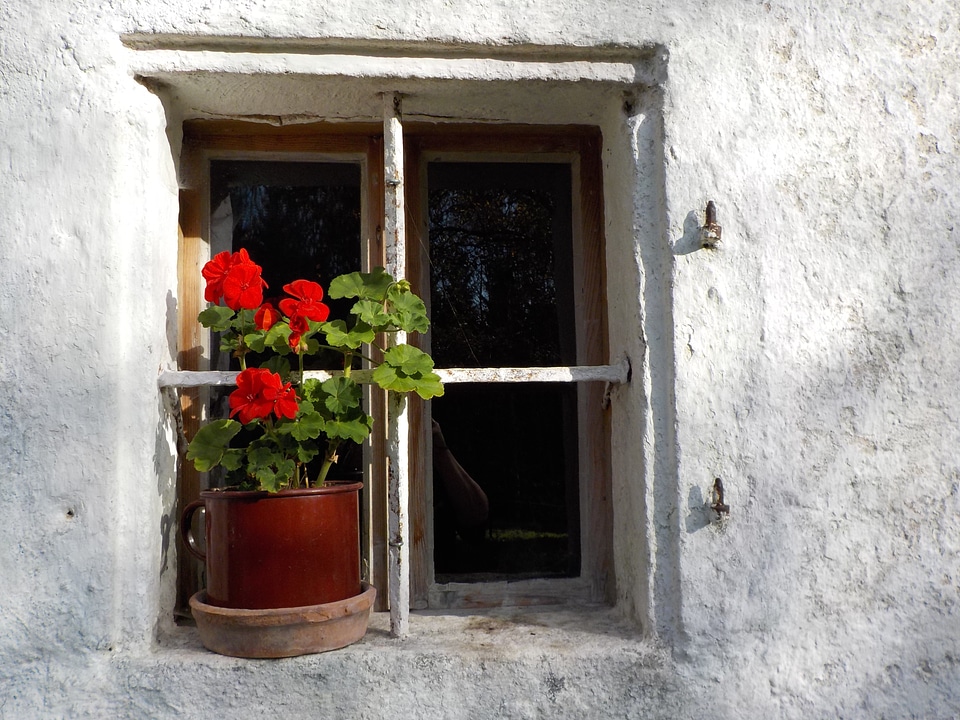 Rustic flowers colorful