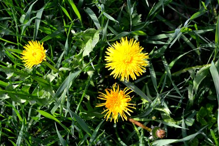 Spring ,April 2023