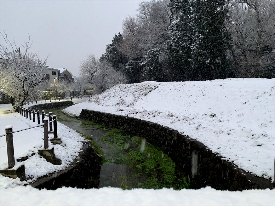 Kurome River in Shimosato, Higashikurume-shi