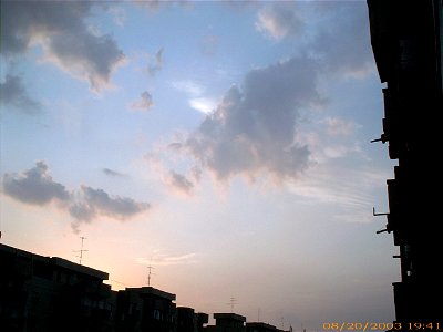 apus-caleavitan2003_0821_1043542_16711227624_o
