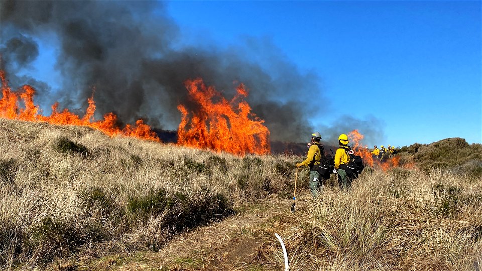 Siuslaw Oregon Dunes Prescribed Burn 2022 photo