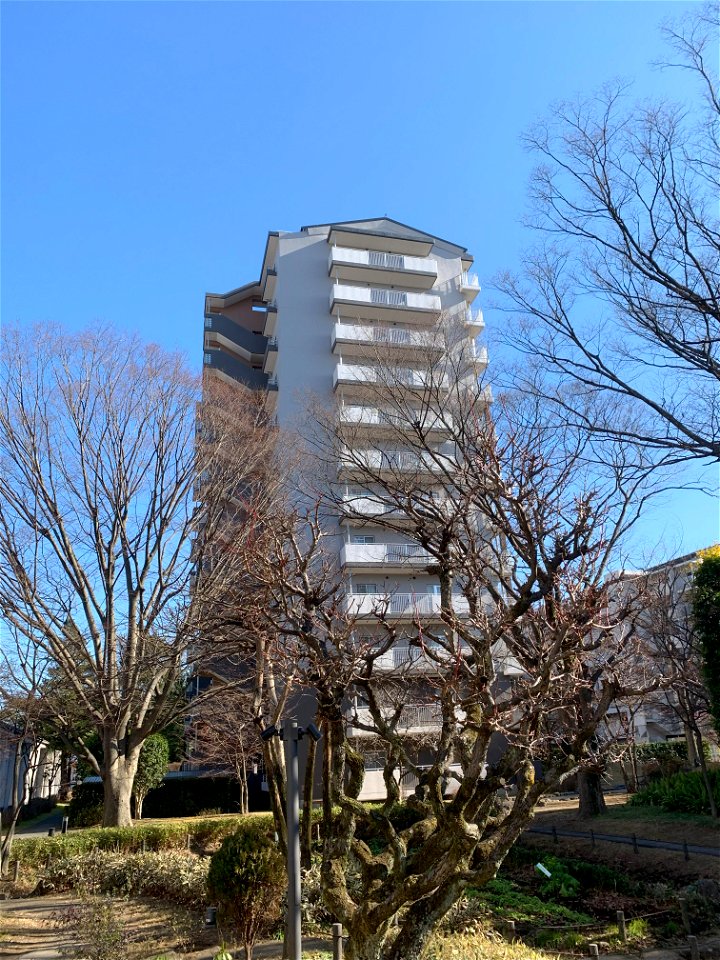 Hibarigaoka Danchi in Higashikurume-shi