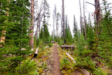 Trail views above Upper Miller Creek
