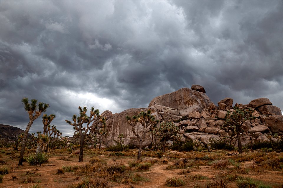 Cap Rock Weeps in Rain