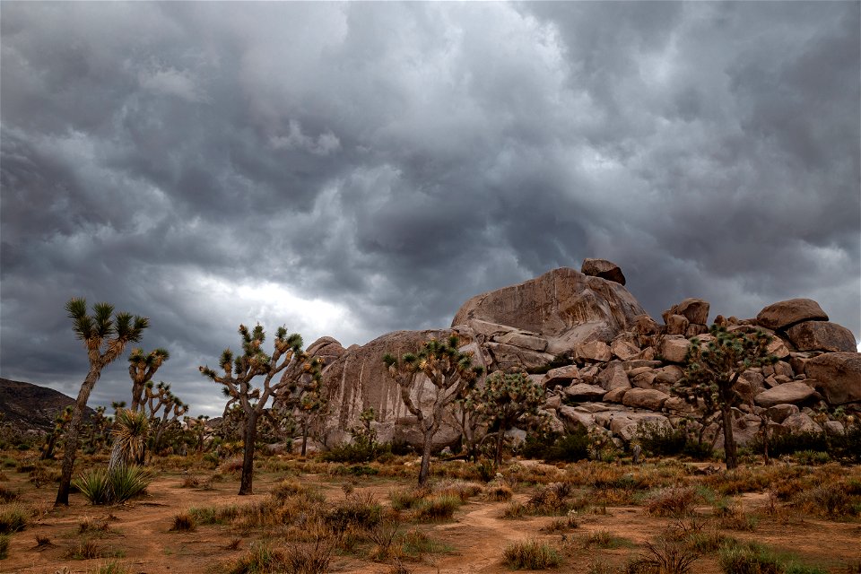 Cap Rock Weeps in Rain photo