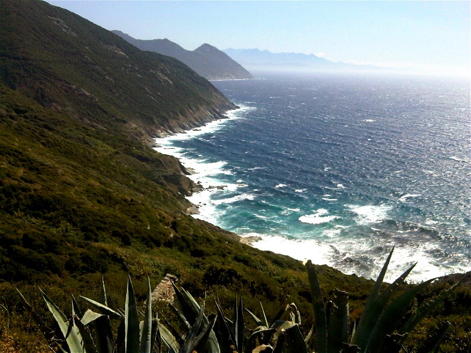 Morsiglia. Cap Corse.