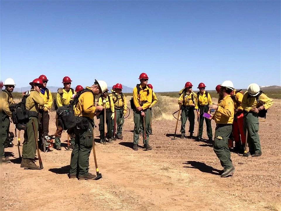 Wildland firefighters for the Gila District