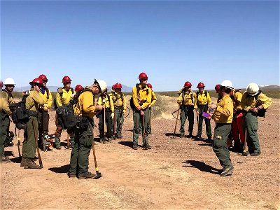 Wildland firefighters for the Gila District photo