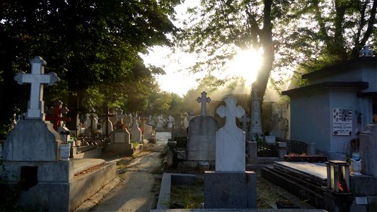 SfVineri_cemetery2021_0728_063511(1)