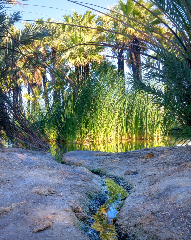 Hot Springs Long Term Visitors Area