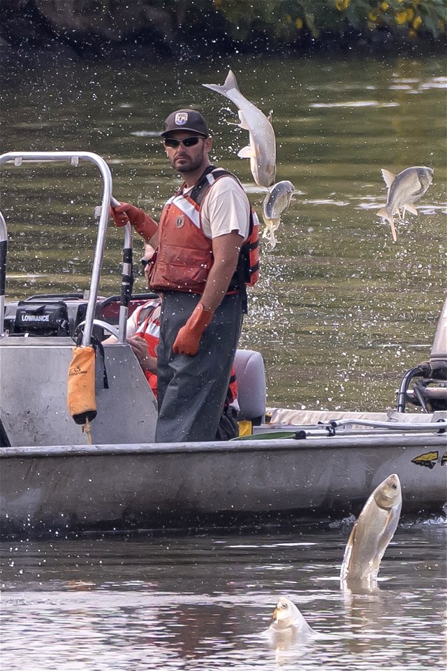 Invasive Carp Research on the James River in South Dakota. Photo: Sam Stukel (USFWS)