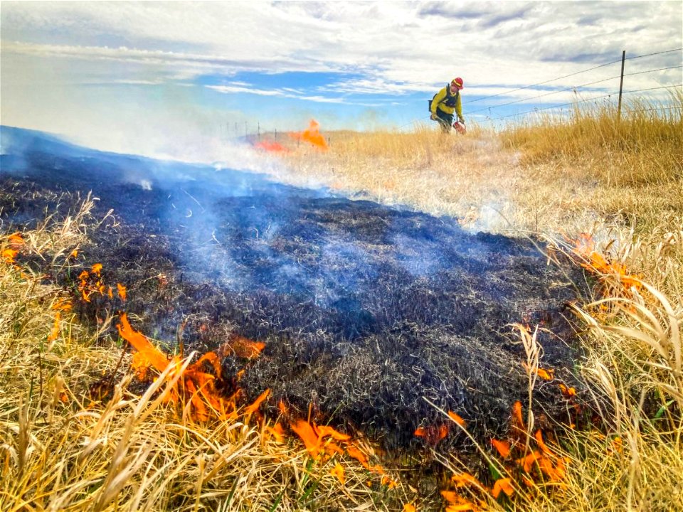 Fuels Management - USFWS 2022 Photo/Video Contest
