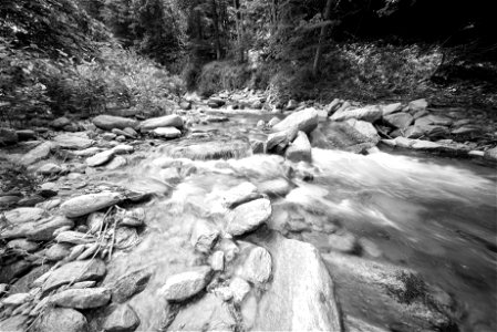 River scene photo