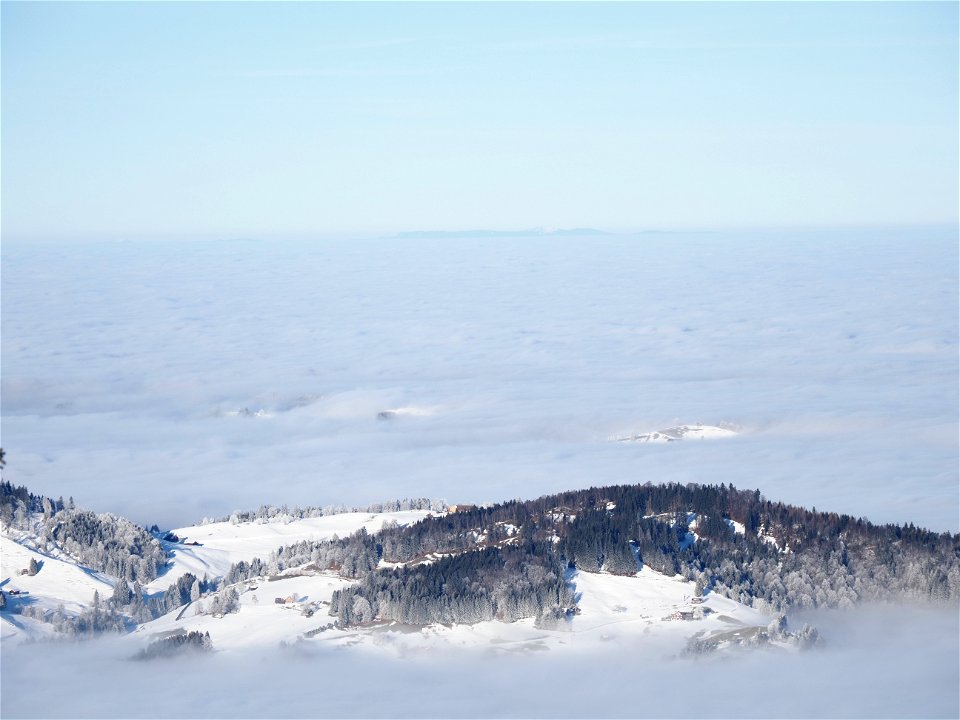 Winter Wonderland