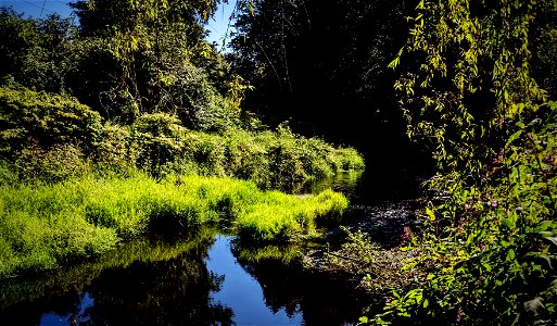 Hume Park