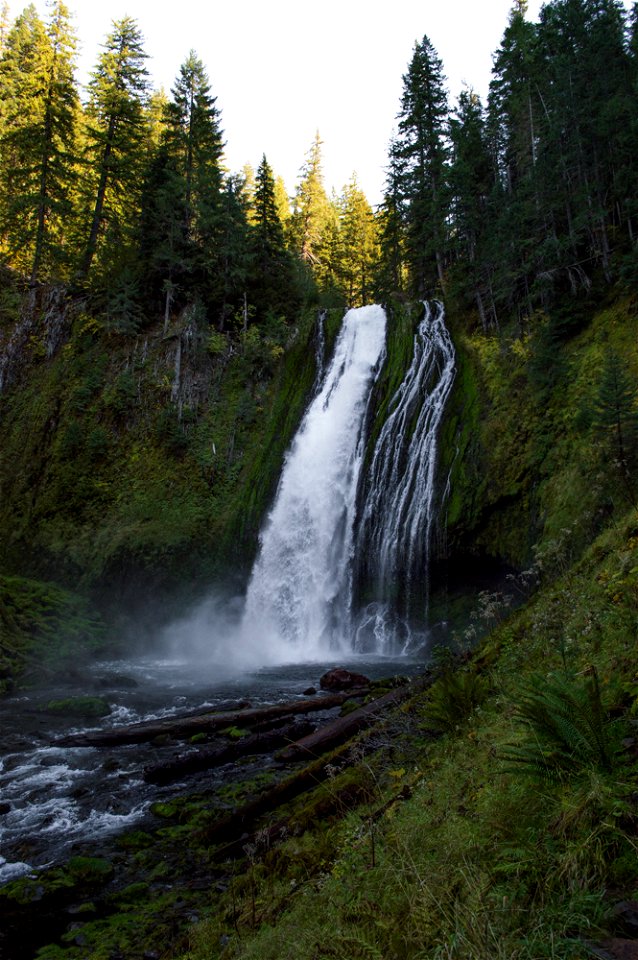untitled-1260jpg_49364699097_o
