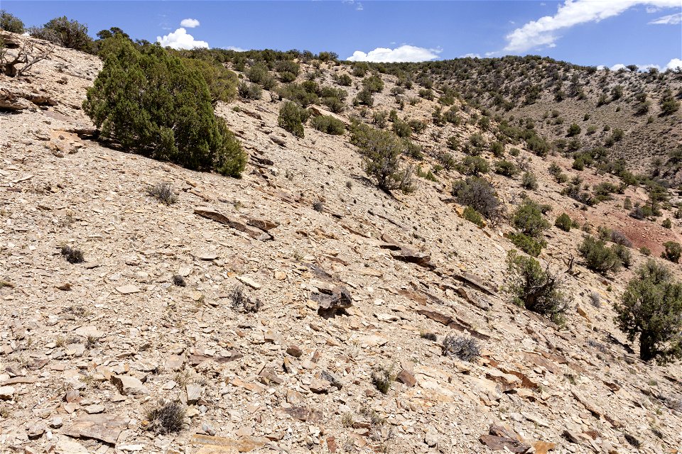 Near Bobcat Trailhead